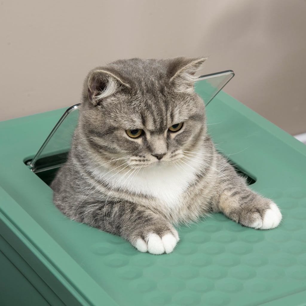 Caixa de Areia Fechada para Gatos Dobrável com Pá