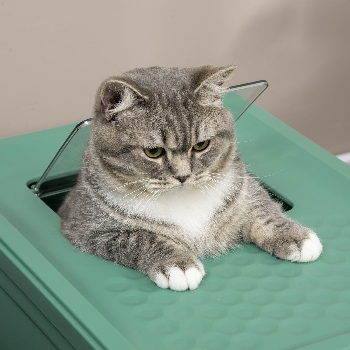 Caixa de Areia Fechada para Gatos Dobrável com Pá