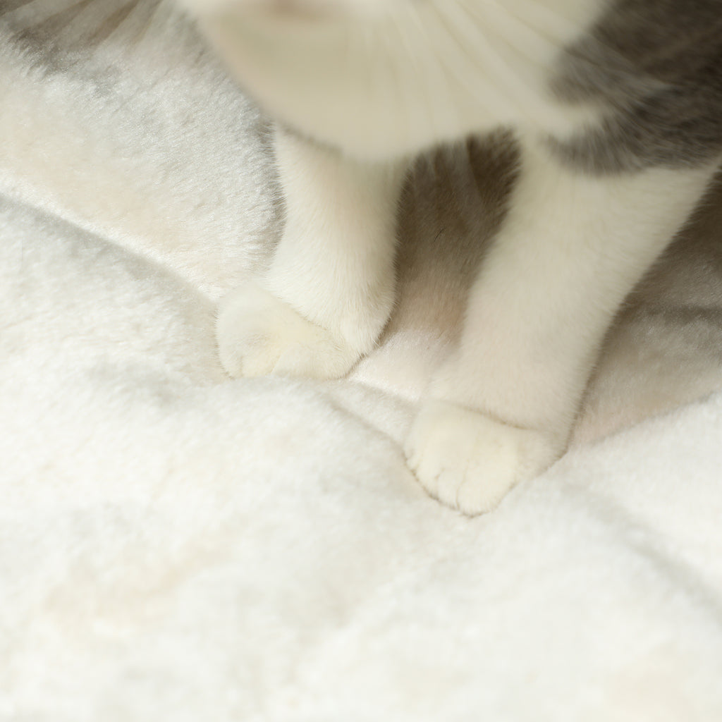 Cama Casinha para Gatos em Fibra Natural com Almofada
