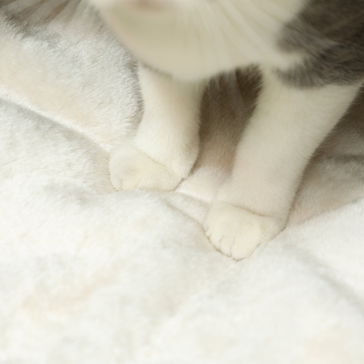 Cama Casinha para Gatos em Fibra Natural com Almofada