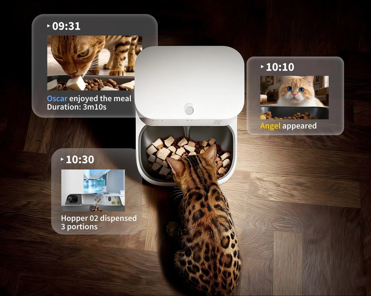 Alimentador Automático PETKIT YumShare Dual-Hopper 2 com Câmara IA – 5L